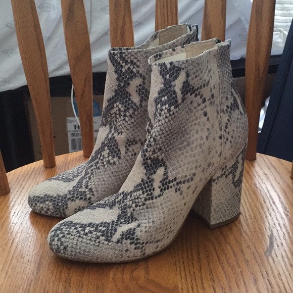 star booties steve madden